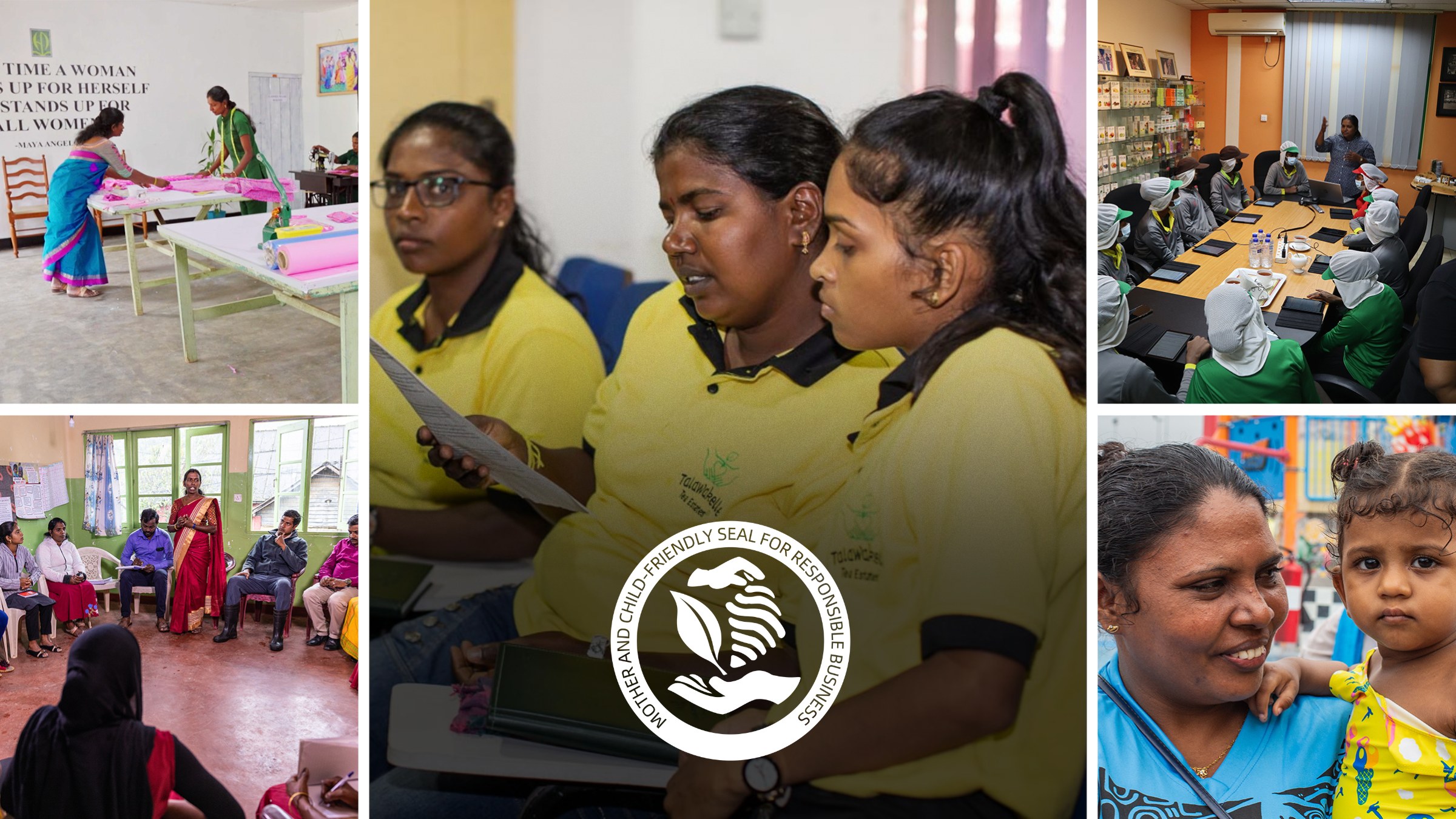 Marking Two Years of Positive Change with the Seal Initiative in Sri Lanka’s Tea Sector