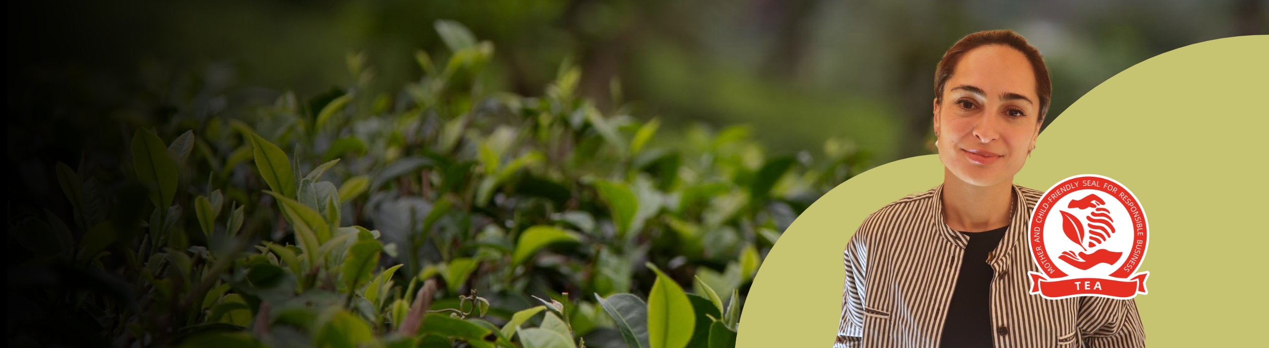 Interview with Ahmad Tea on Setting Up Fair Wage Systems in the Tea Sector