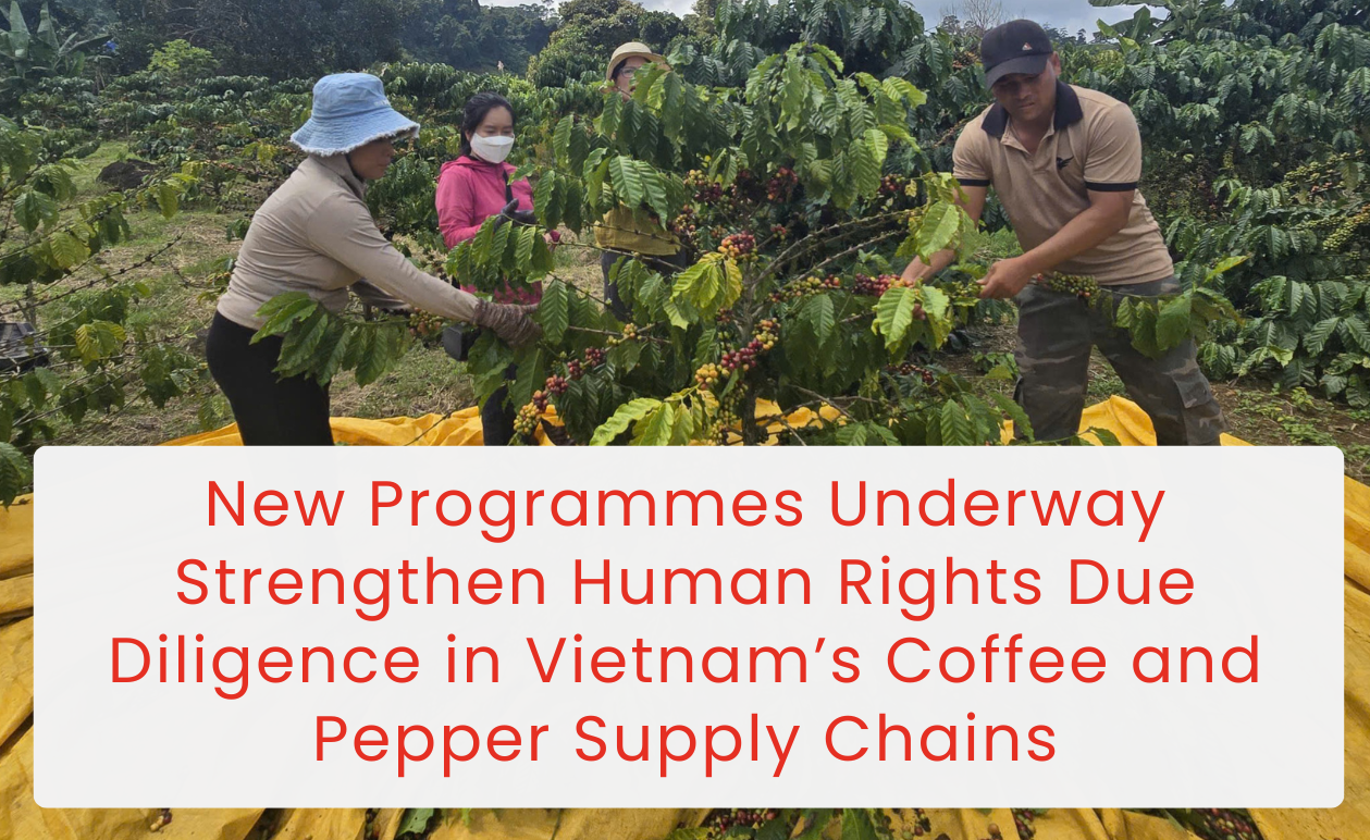 New Programmes Underway Strengthen Human Rights Due Diligence in Vietnam&rsquo;s Coffee and Pepper Supply Chains