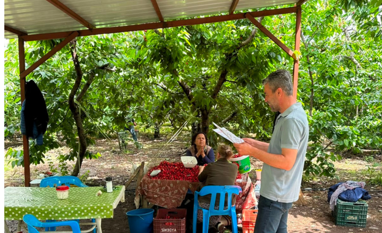 Our Work With Lidl to Turn Child Rights Due Diligence into Action in T&uuml;rkiye's Agriculture Sector